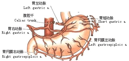 θֲ