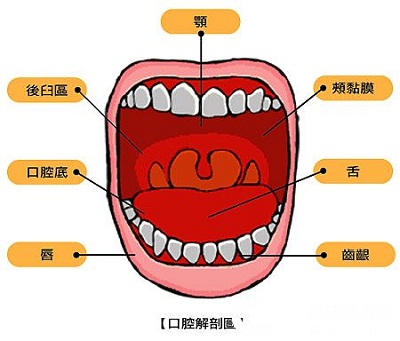 3.功能障碍